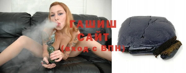 крисы Сатка