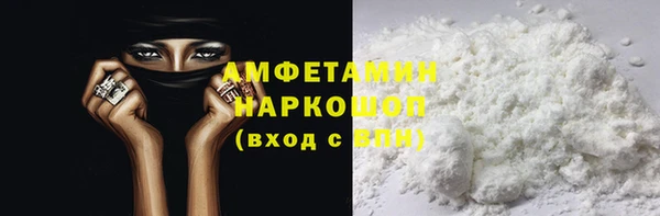 крисы Сатка