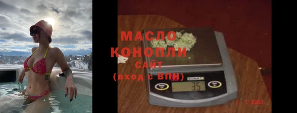 крисы Сатка