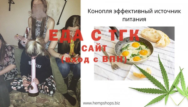 крисы Сатка