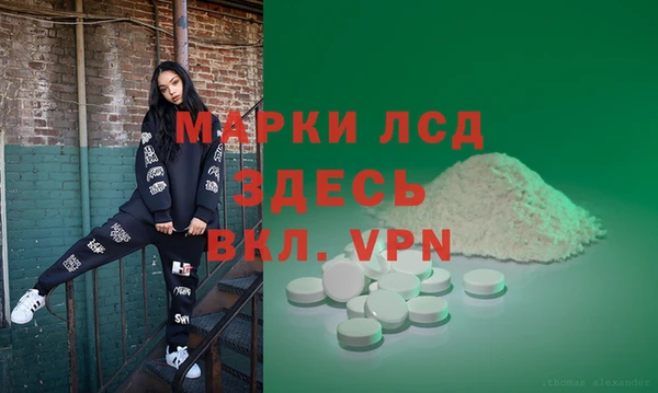 крисы Сатка