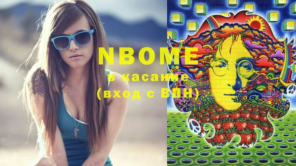 крисы Сатка