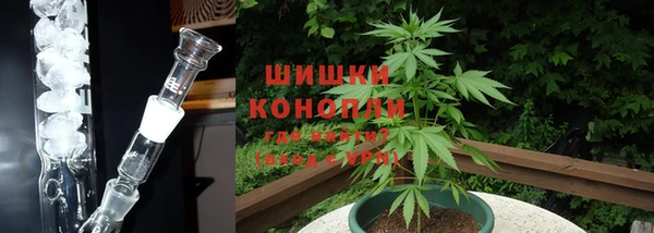 крисы Сатка
