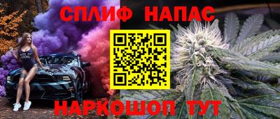 хмурый Кингисепп