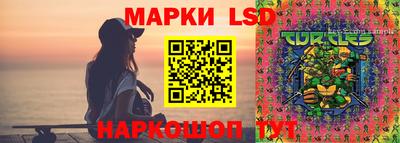 хмурый Кингисепп