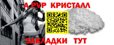 хмурый Кингисепп