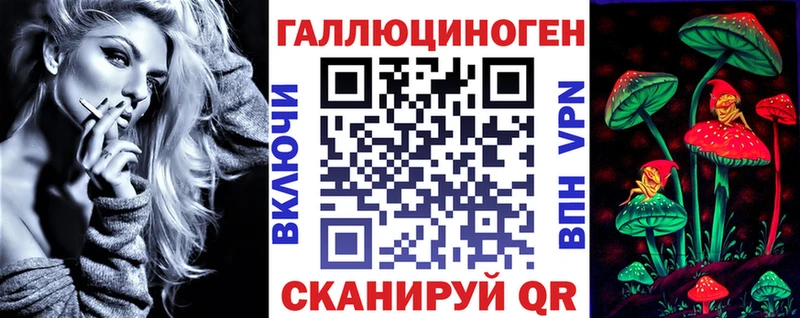 дарк нет наркотические препараты  Юрга  Псилоцибиновые грибы мицелий 