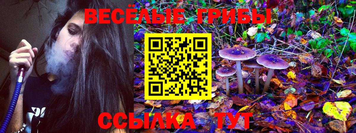 Псилоцибиновые грибы Cubensis  Вход с VPN  Юрга 