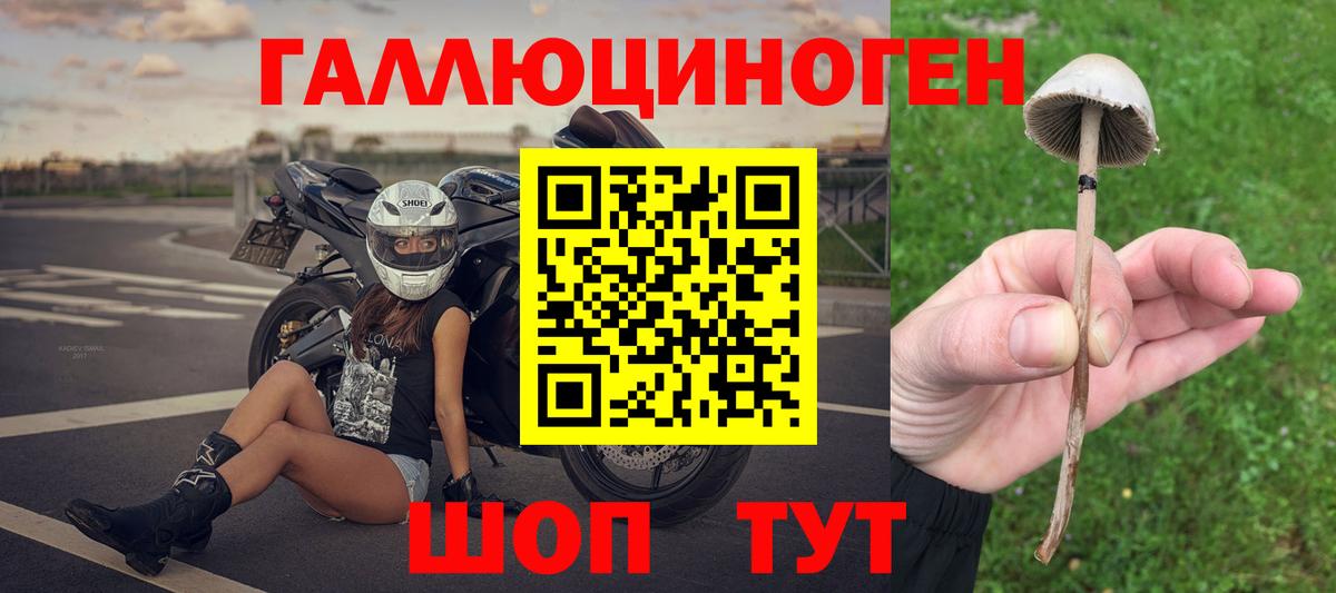 Галлюциногенные грибы Magic Shrooms Юрга